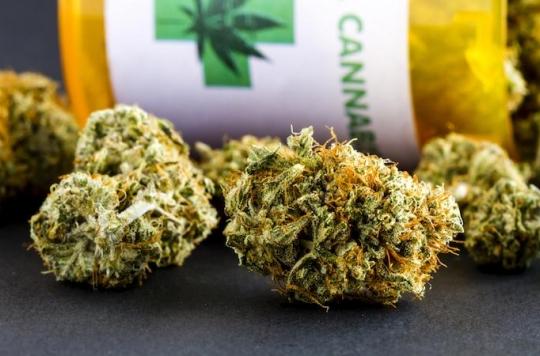 Cannabis: Uruguay opens consumer registry