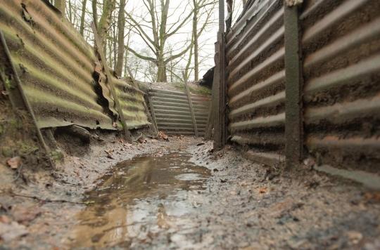 Trench fever, the disease that worries Canadians