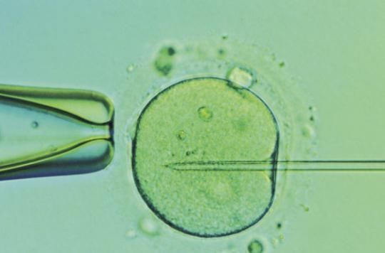 Hereditary heart disease: the mutation corrected with CRISPR-cas9