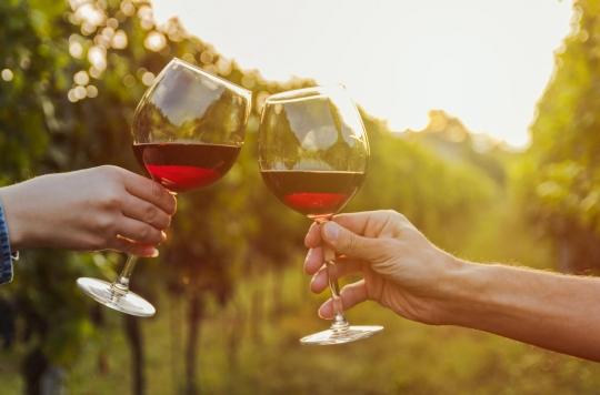 Red wine would have positive effects on the intestinal microbiota