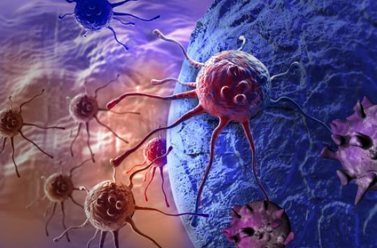 Cancers: a path for the future for the universal vaccine