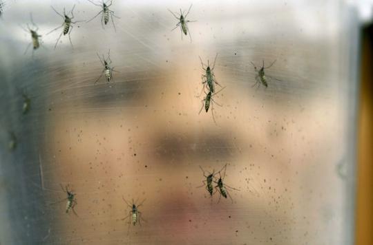 ZIka: France encourages pregnant women not to go to affected areas