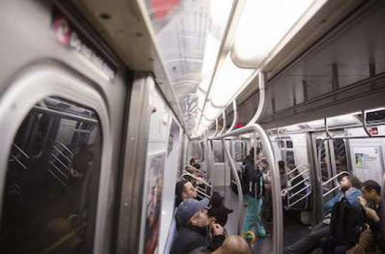 More than 600 species of bacteria colonize the New York subway