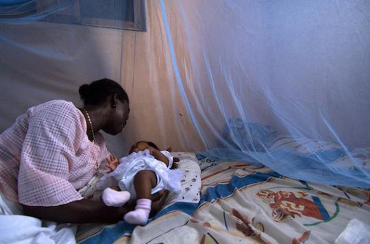 Malaria: France holds the record for imported cases