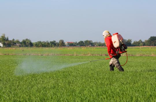 Pesticides: the number of exposed French farmers underestimated