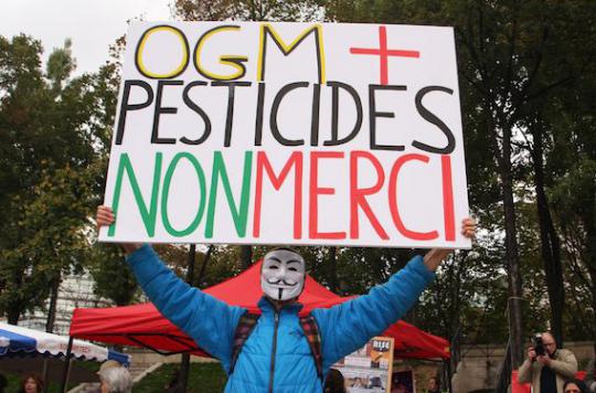 The European Commission authorizes the import of 19 GMOs