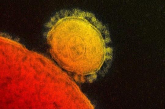 Coronavirus: 700 people quarantined in South Korea