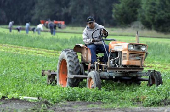 Pesticides: farmers question the risks