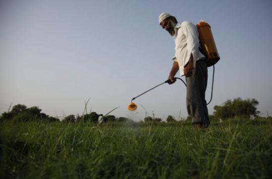 Eat organic to reduce pesticides in the body