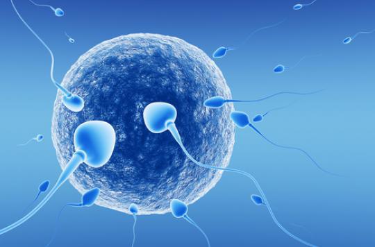 Fertility: human sperm created from skin cells - Ace Mind