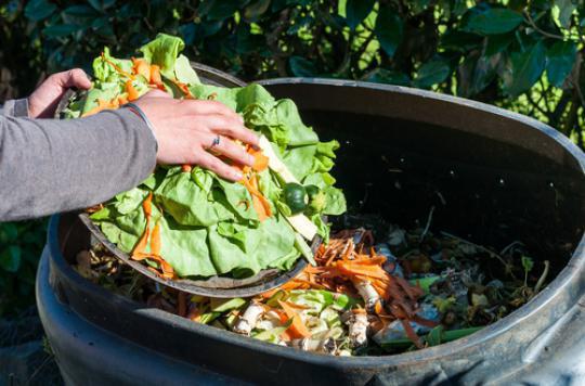 Food waste: several psychological factors involved