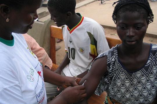 Yellow fever: 15 million people to be vaccinated in Angola and DRC