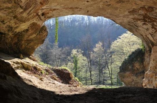 Prehistoire De L Adn Trouve Dans Des Grottes Sans Ossements